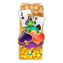 29 Cards